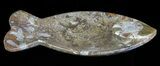 Fish-Shaped Fossil Goniatite Dish (Brown) - Stoneware #62454-2
